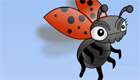 Lady Bug