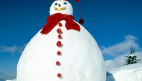 Un muñeco de nieve por un código VIP en HiDolls
