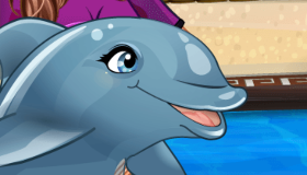 Delfines My Dolphin Show